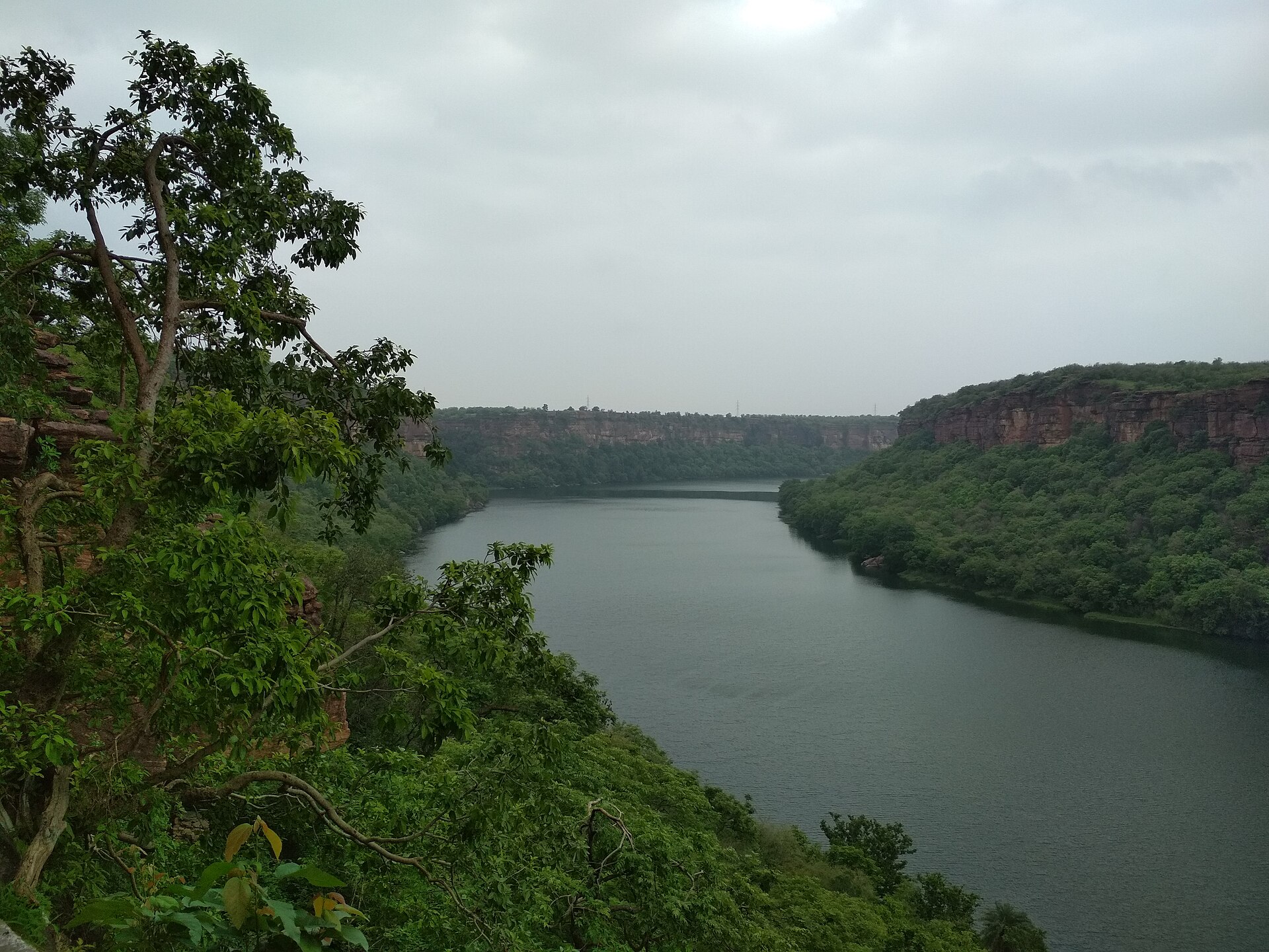 Daulatganj forest on the safari circuit